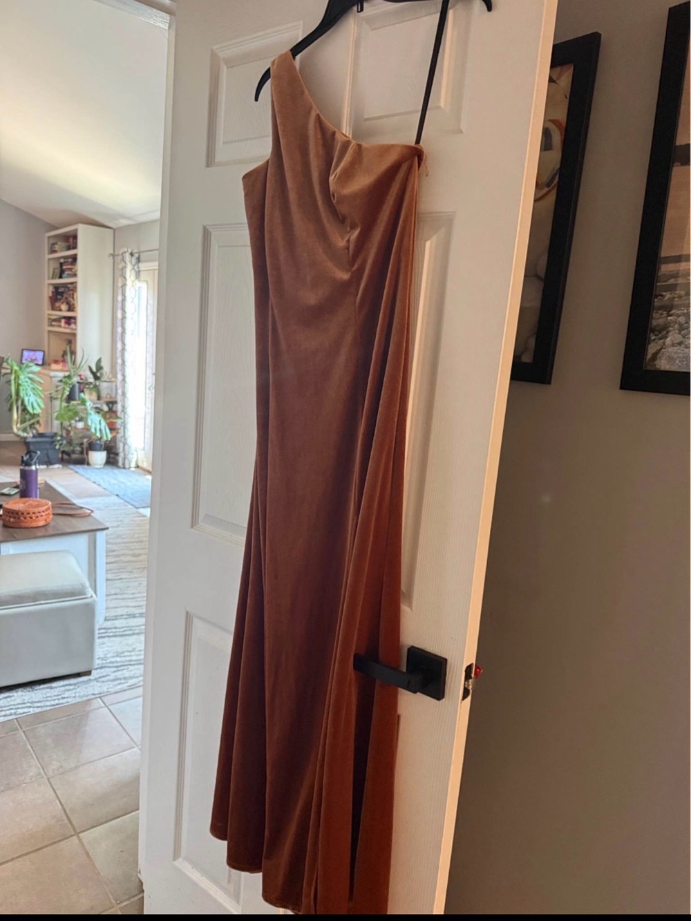 After Six One-Shoulder Velvet Gown in Warm Brown